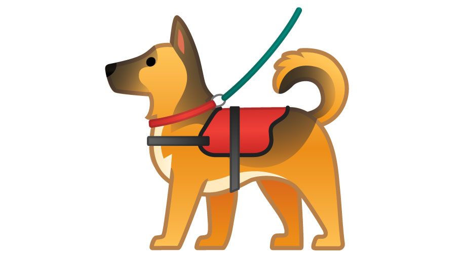 Google dog
