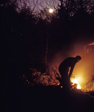 person standing next to a bonfire in a garden