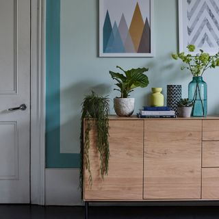 blue wall wooden sideboard with plants and books on