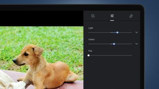 A laptop screen showing Google Photos editing tools