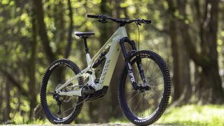 A Bosch CX-powered 160mm rear/170mm front travel e-bike specifically designed for the demands of modern e-enduro racing