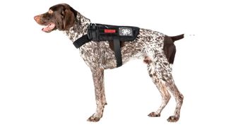 OneTigris Service Tactical Dog Harness