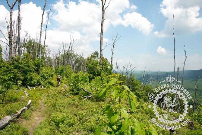 A rider meanders along the top of Tussey Mountain.