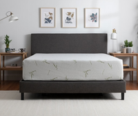 5. Tulo Bamboo 12” Medium Plush Green Tea Memory Foam Mattress: $629.99 $252.99 at Mattress Firm