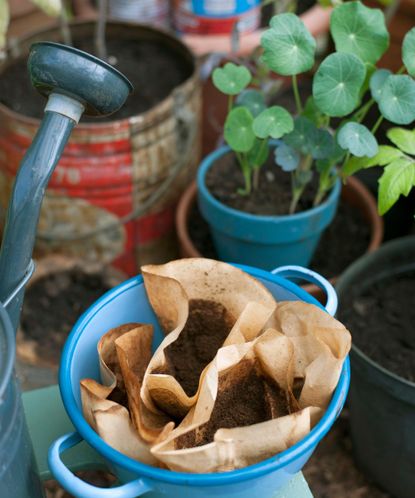 Can You Water Plants With Coffee Gardening Experts Weigh In Gardeningetc   McC5ZoE3MDrp7pZ7fHp6eJ 415 80 