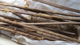 Several 2000-year-old personal hygiene sticks with remains of cloth, excavated from the latrine at Xuanquanzhi