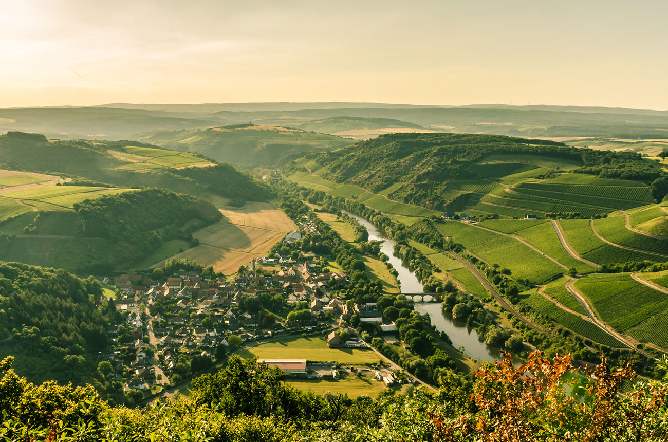 Nahe vineyards, Germany