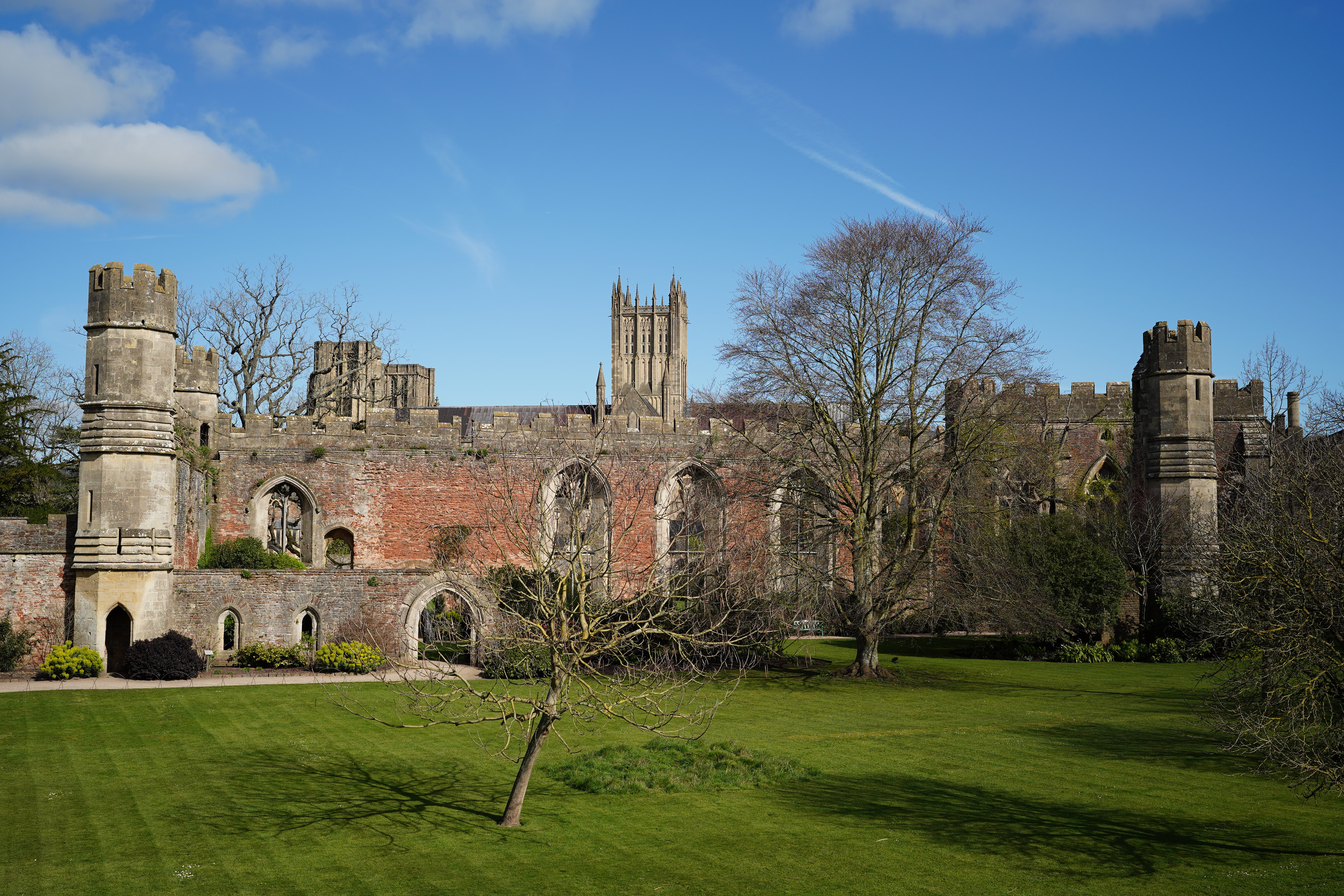 Sigma 35mm f/1.4 DG II Art sample image