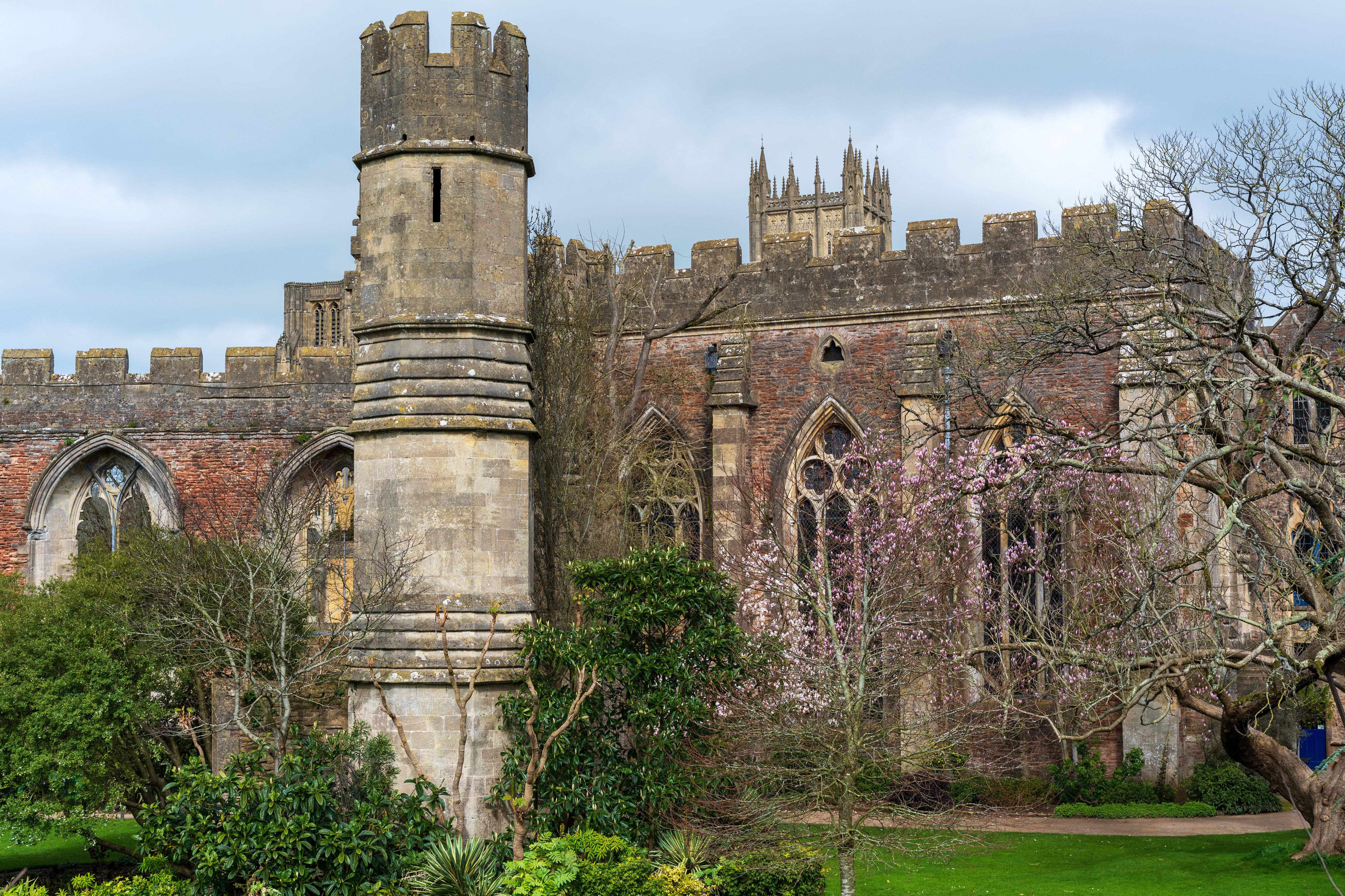 Viltrox AF 55mm f/1.8 Evo sample image