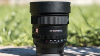 Front view of the lens against green grass