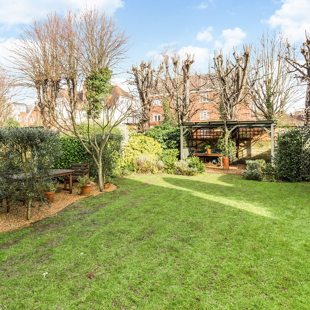 garden with plants and tree