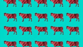 Illustration of cow shaped cut outs filled in with images of steaks on a teal background.