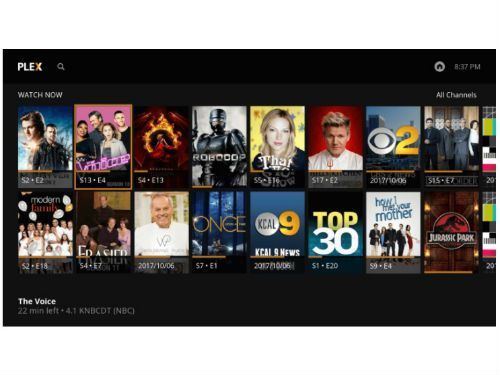 best roku for plex