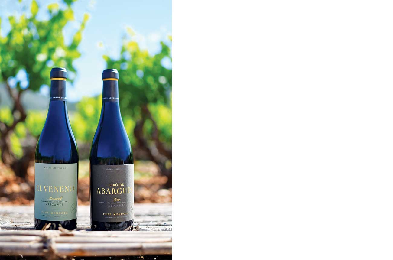 Pepe-Mendoza-wines.jpg