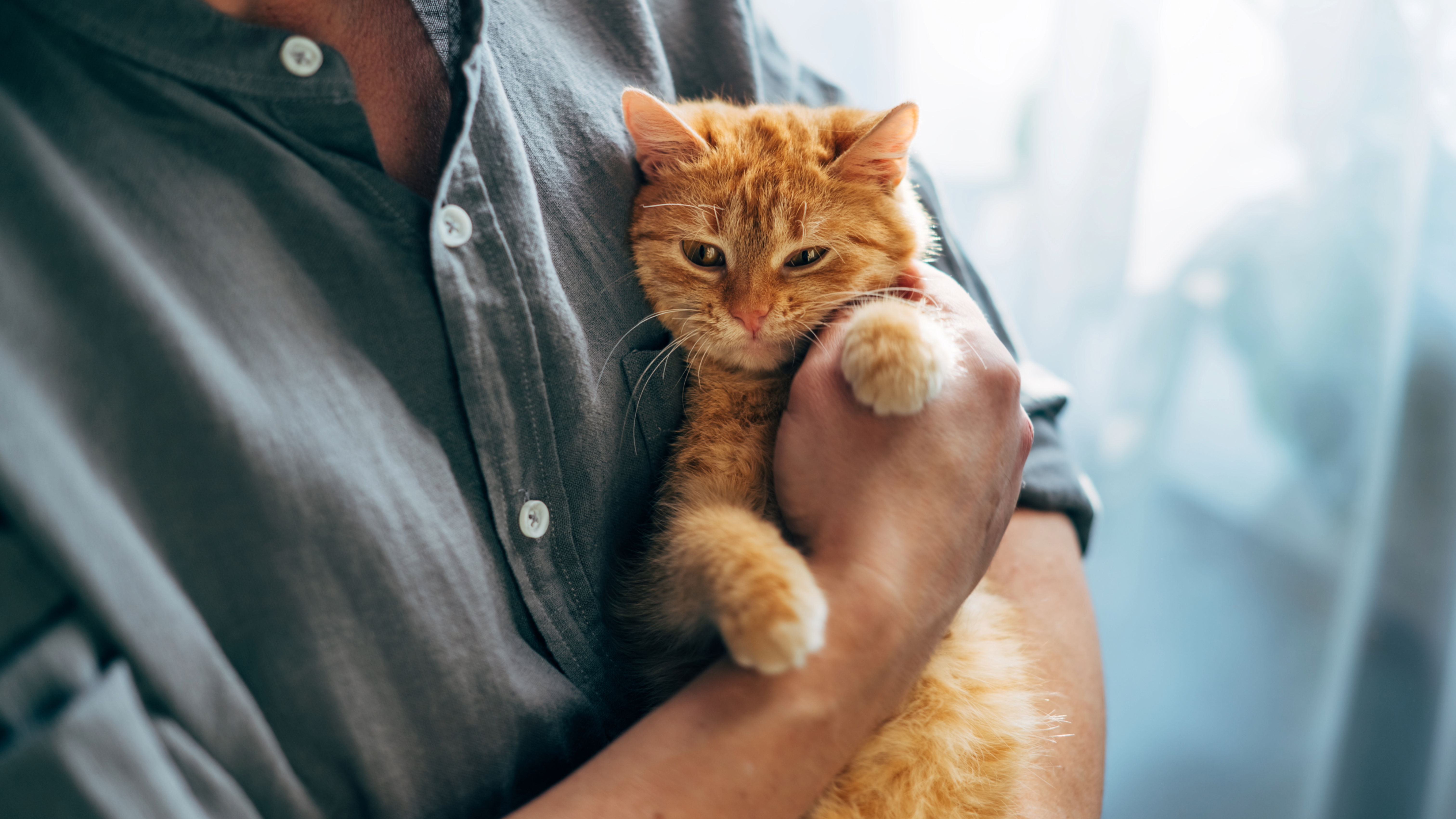Man cradling cat