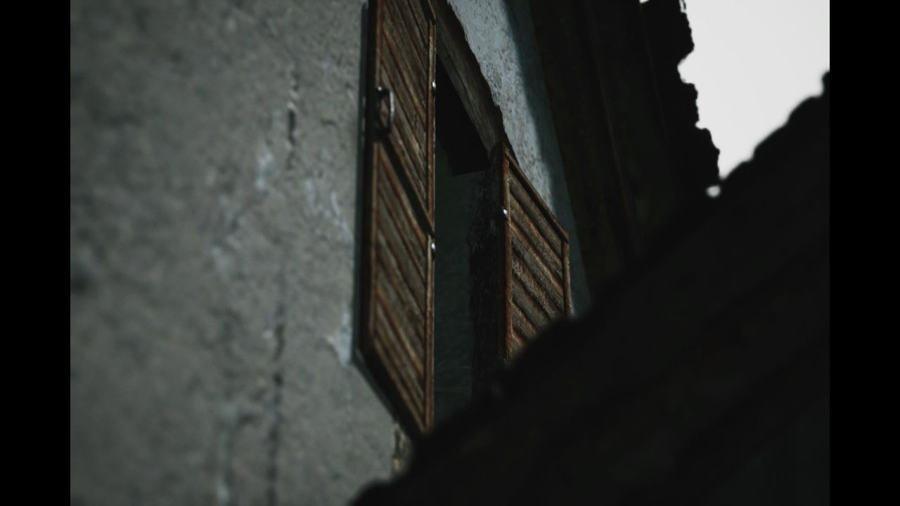 Screenshot of the photography simulator game Lushfoil Photography Sim, depicting shuttered windows