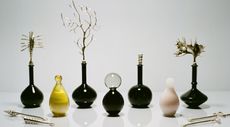 Bottles by Kindred Black