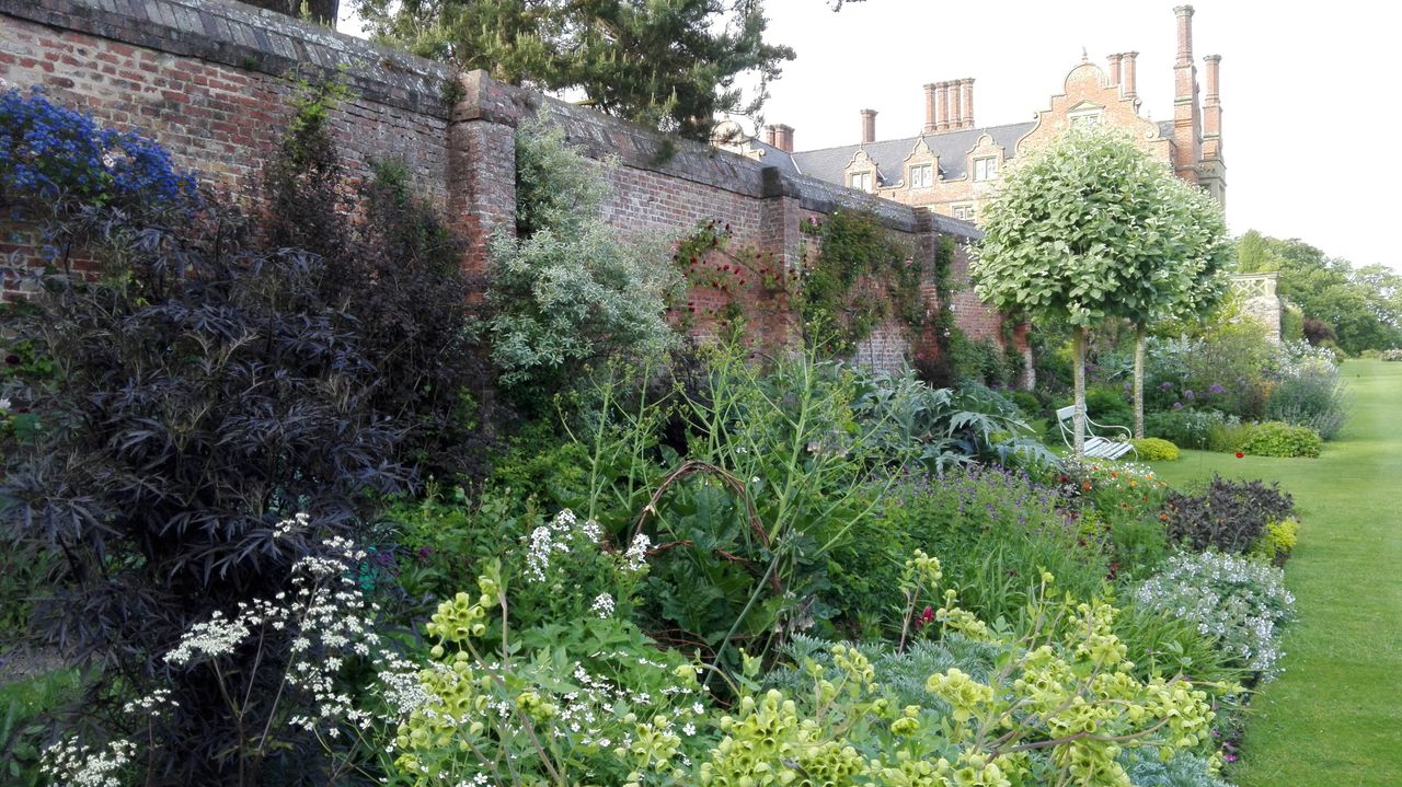 Kate Corbett Winder&#039;s garden in Powys