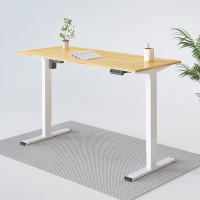 Flexispot E1 Standing Desk: $289.99