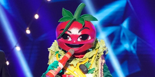 OK, The Masked Singer's Taco Is Not That Popular Guess, So Who Is He ...