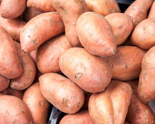 sweet potatoes freshly harvested in late summer