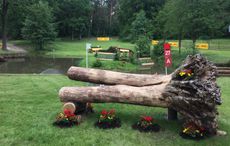 Luhm&uuml;hlen cross-country course