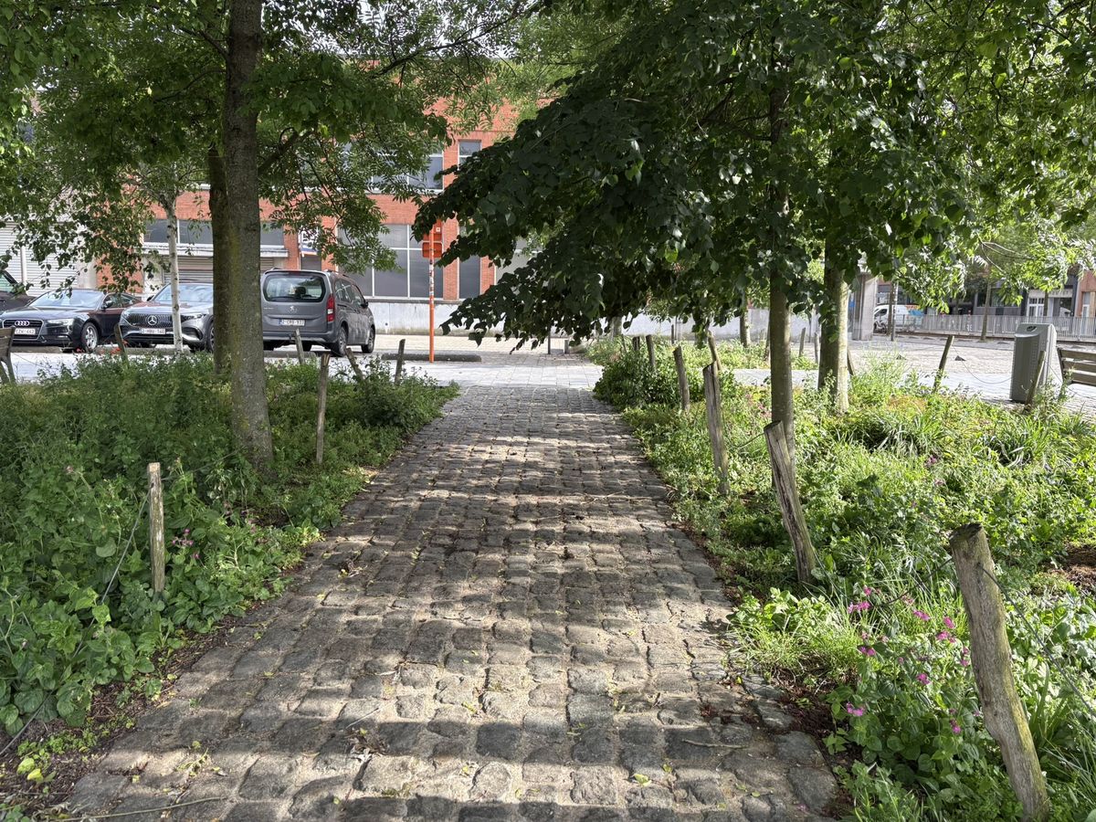 iPhone 16 voorbeeldfoto