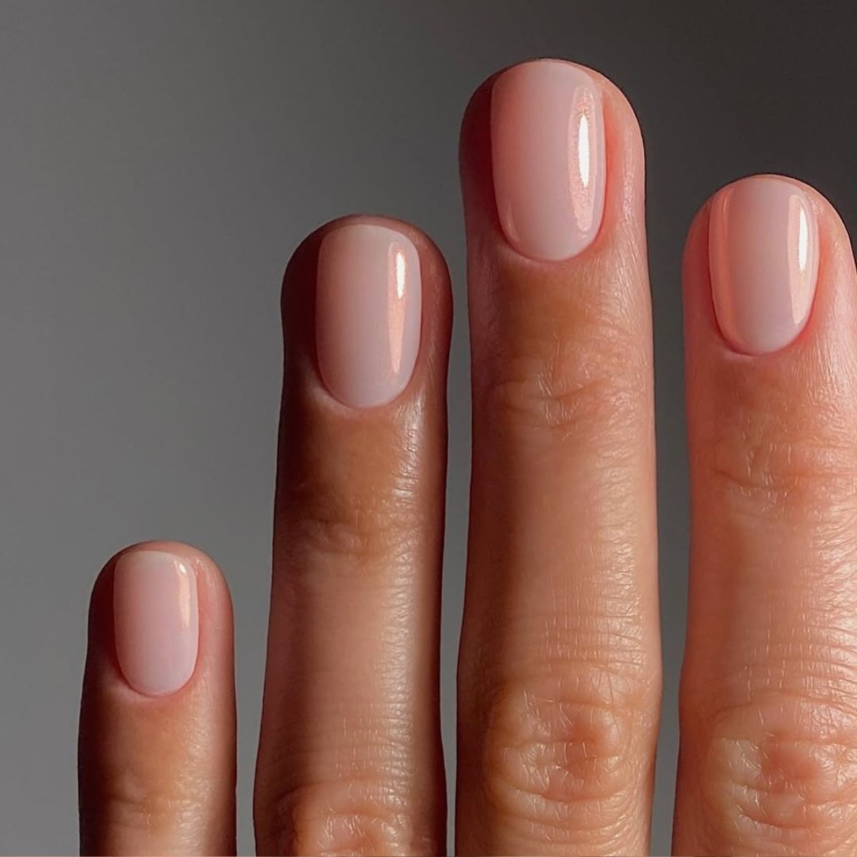 A close-up of Hortencia on @matejanova's hand