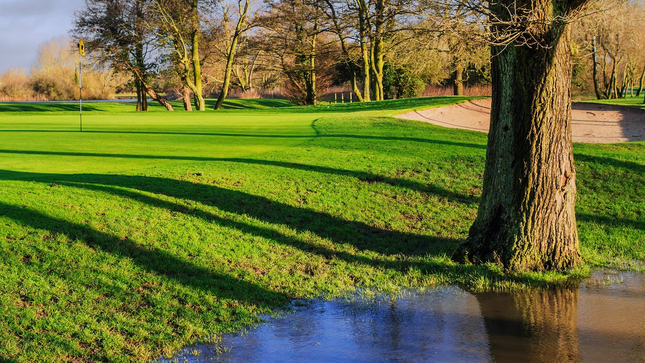 A general view of a green with a large puddle just next to it