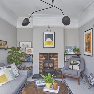Grey living room with fireplace, a plant, bookshelf and pictures hanging on the wall