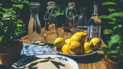 5 Cocktails Made with Limoncello: The Ultimate Summer Liqueur