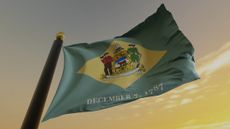 image of a Delaware state flag on a pole