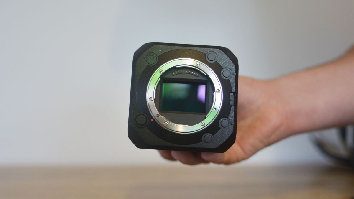 The best cinema cameras in 2024 Digital Camera World