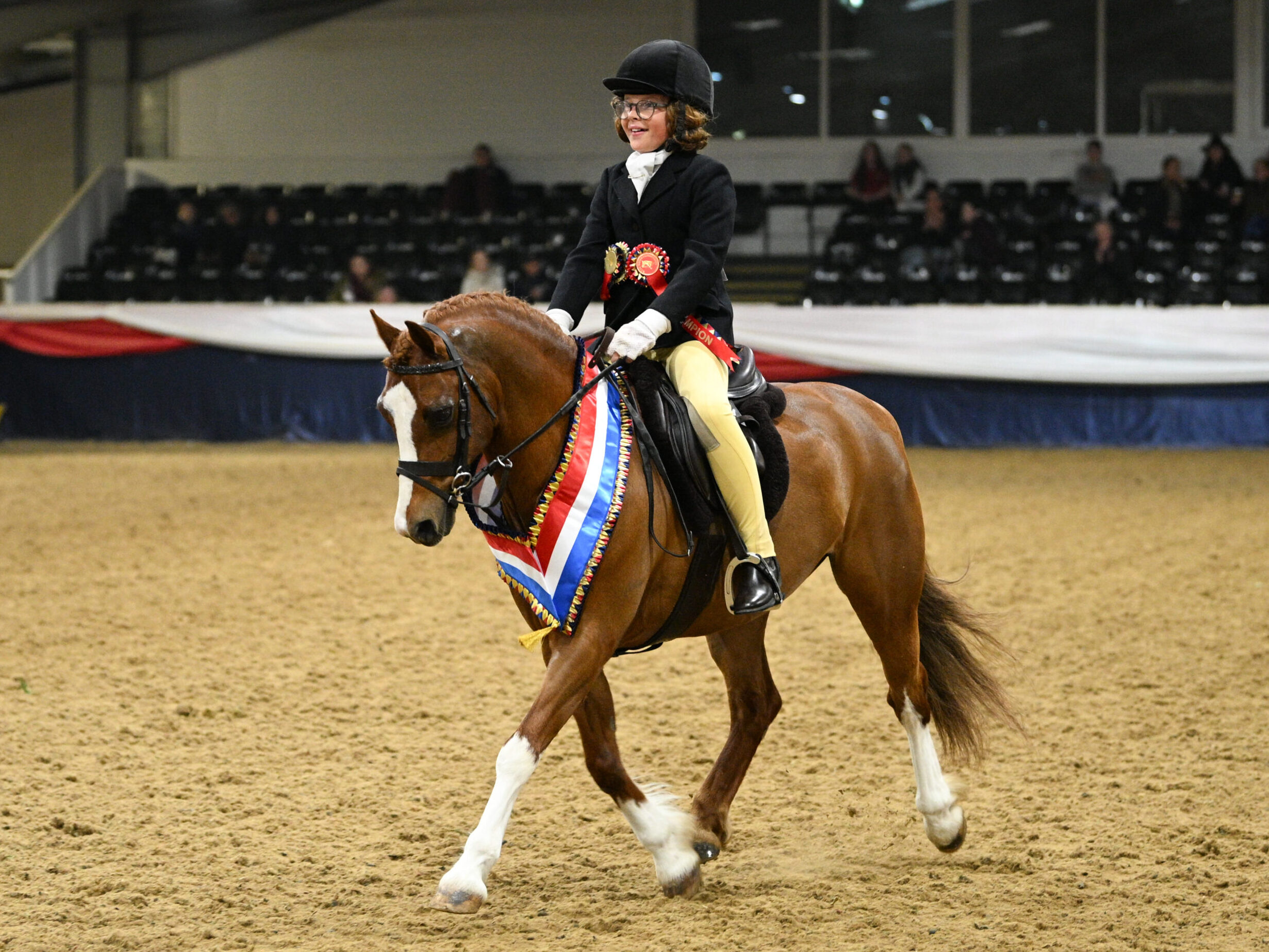 133cm Dumbles Granderas Last and Louis Cure trot from the ring as champion novice working hunter pony