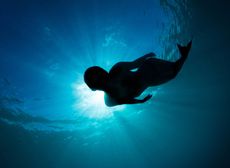 A mermaid swims in a pool