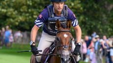 Boyd-Martin-and-ON-CUE-20230902_1799-thumbnail.jpg