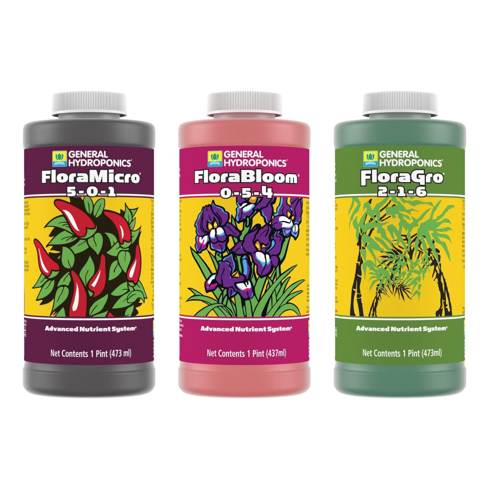3 of the Best Hydroponic Houseplants to Decorate Your Home | Livingetc