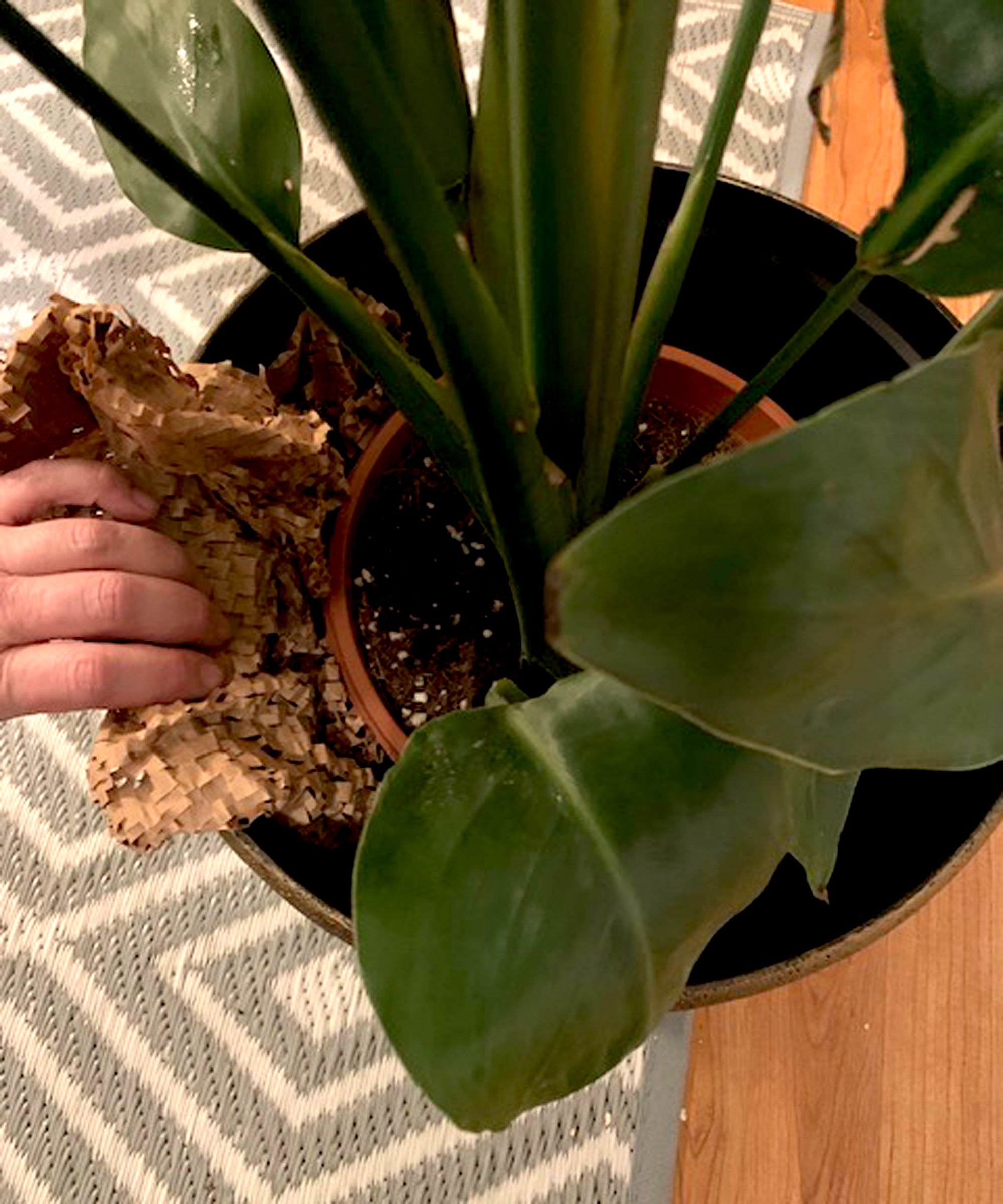 hand filling inside of pot with crushed brown paper