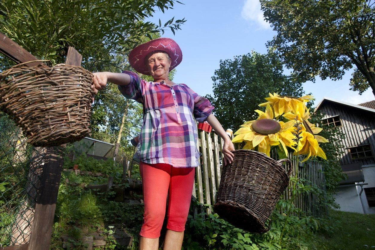 chemo gardening