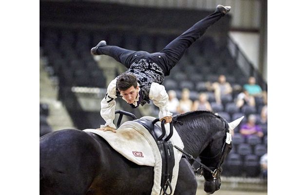 FEI World Equestrian Games&amp;trade; Tryon USA Lambert LeclezioPhoto FEI/Liz Gregg