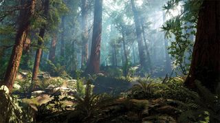 3D art: A 3D forest scene