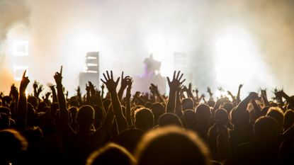 Fans with raised arms at music Festival - stock photo
