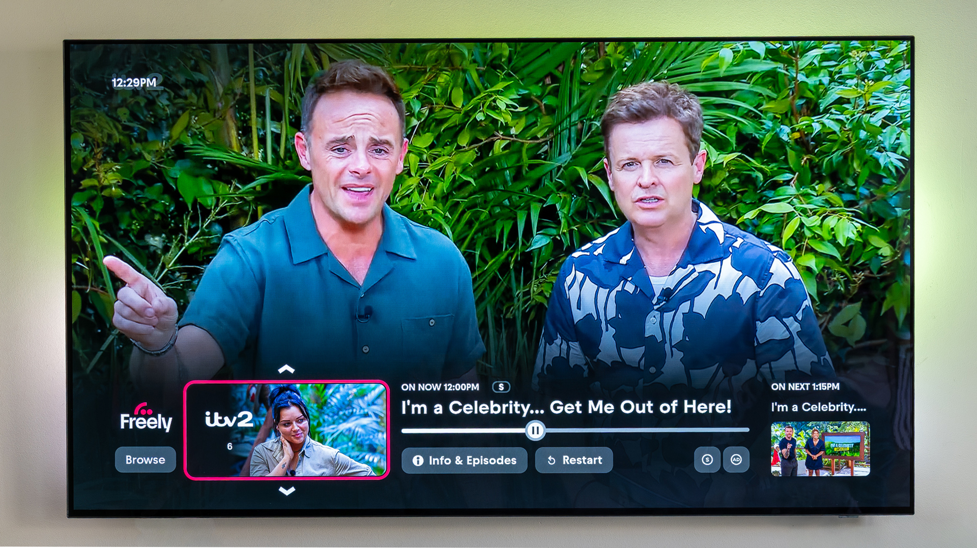 Netgem Pleio review image