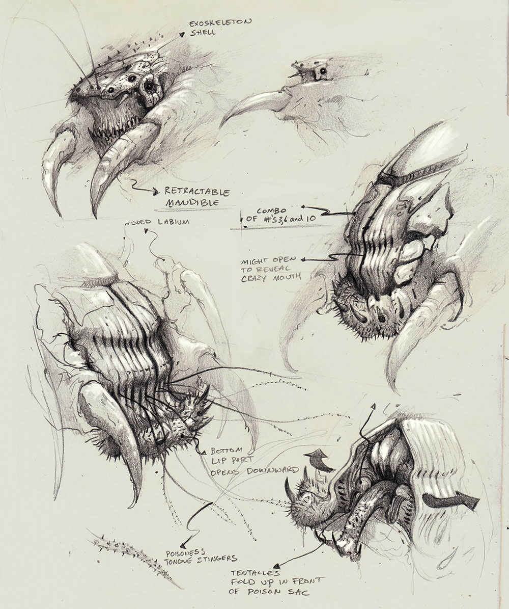 head design personalisation