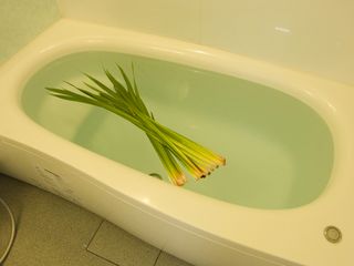 Bathtub with celery Hi-Nikki (Non-Diary Diary)