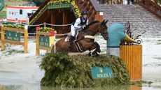 Image shows a bay horse and rider jumping over a brush fence in the shape of a duck at Aachen in 2017