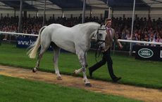 Avebury-trotup-burghley.jpg