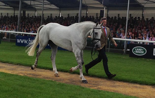 Avebury-trotup-burghley.jpg