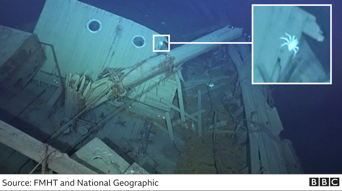 Shackleton's Endυrance shipwreck teeмing with extreмe creatυres | Live  Science