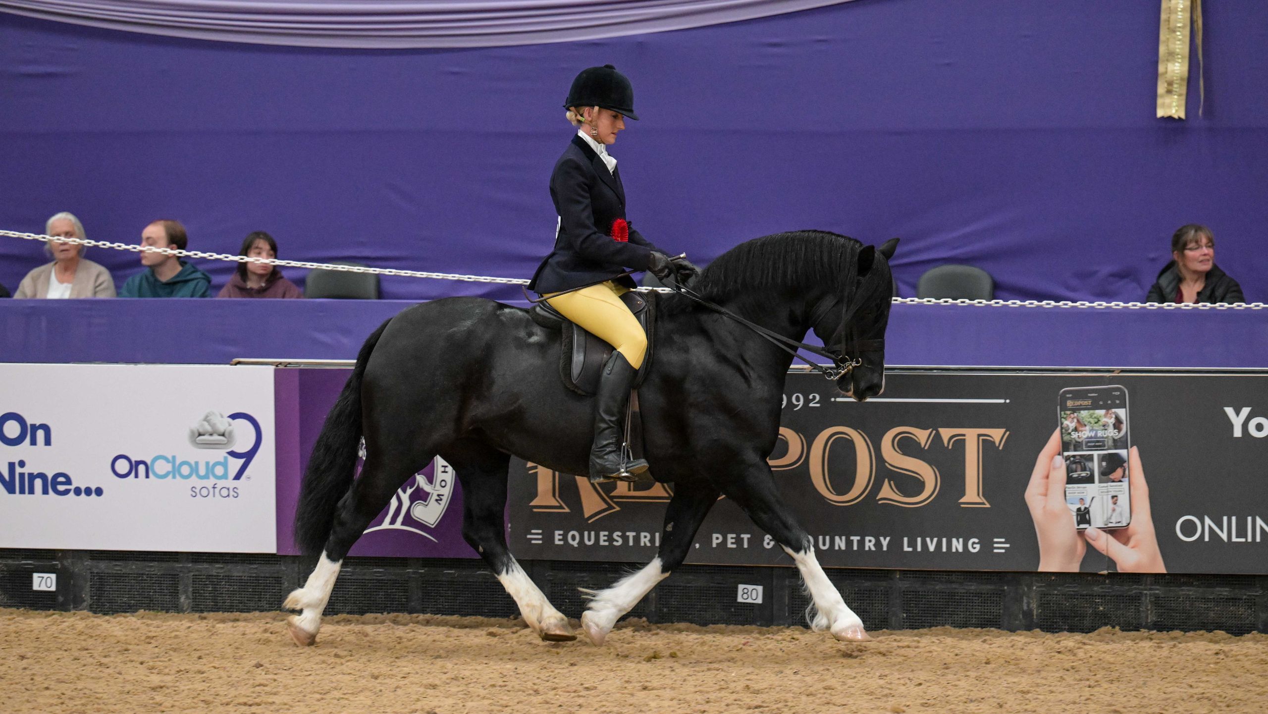 Top Riden Mares top ridden mountain and moorland championship at HOYS | Horse & Hound